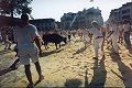 Photo des f�tes de bayonne par Ibaifoto