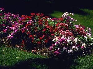 hossegor gardens