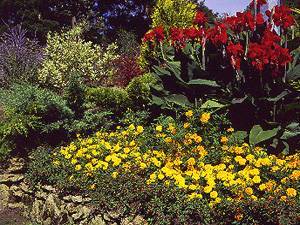 hossegor gardens