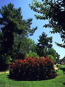 hossegor gardens