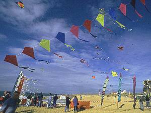 Hossegor kite festival