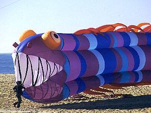 Hossegor kite festival