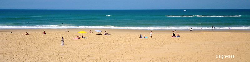 Plage � Seignosse