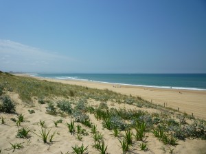 plage seignosse