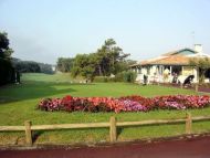 Golf d