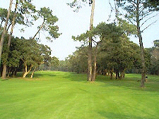 Golf Club d