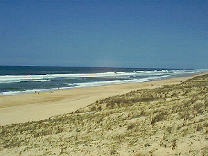 the beaches in the Landes
