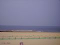ref: P103 Apartment (ref: P103) to rent in Vieux Boucau for 4 persons