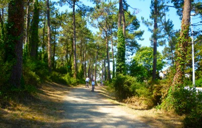 Cycling in the Landes