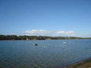 Mouettes et bateau de p�che sur le lac marin d'Hossegor