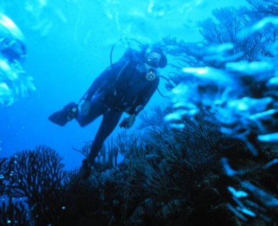 Scuba diving Ciboure