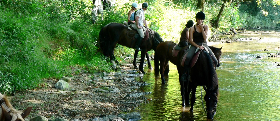 Balade a cheval à la campagne/© CDT64