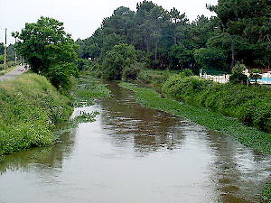 fishing in Labenne