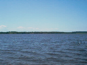The Etang de Leon