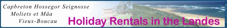 Aupa Immobilier locations de vacances sur la C�te Landaise