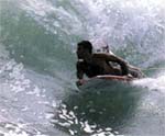 surf et body board � l'auberge de jeunesse de Biarritz