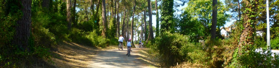 foret de chiberta