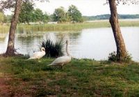 the lake in Azur