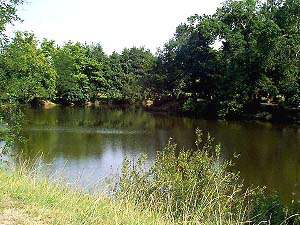 Bois de Boulogne Dax