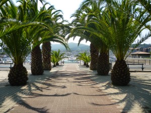 Hendaye marina