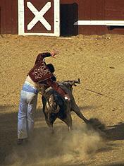 Course landaise landes sud ouest (Photographie Jean Philippe Plantey)