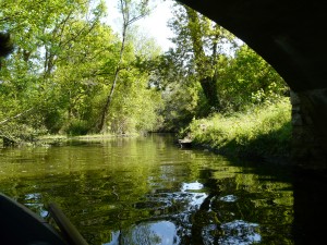 descente en canoe sur une rivi&egrave;re des landes