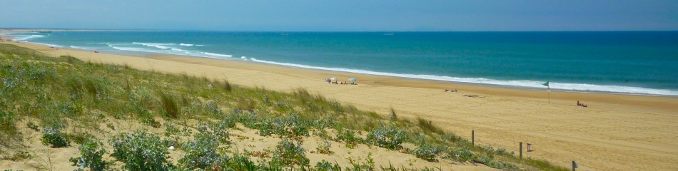 beach messanges