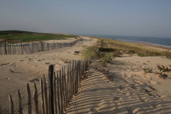 plage des ch&ecirc;nes-li&egrave;ges Moliets &copy; photos OT Moliets