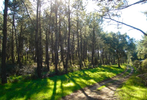 Sentier Ondres