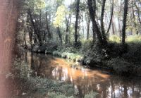 Azur, the authentic charm of the Landes