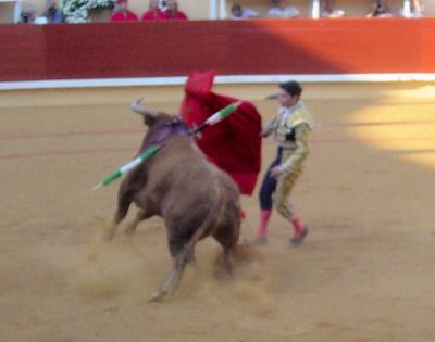 bullfighting dax