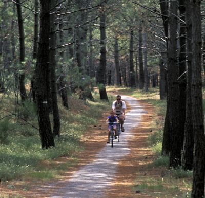 velo