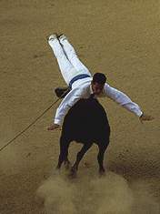 Course Landaise landes sud ouest (Photographie Jean Philippe Plantey)