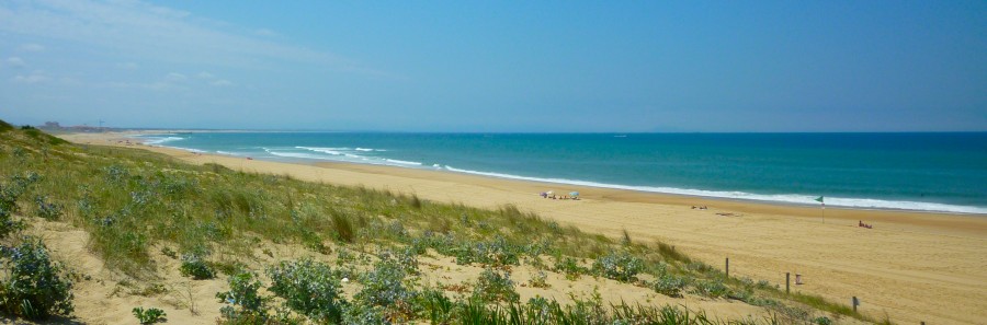 The Landes
