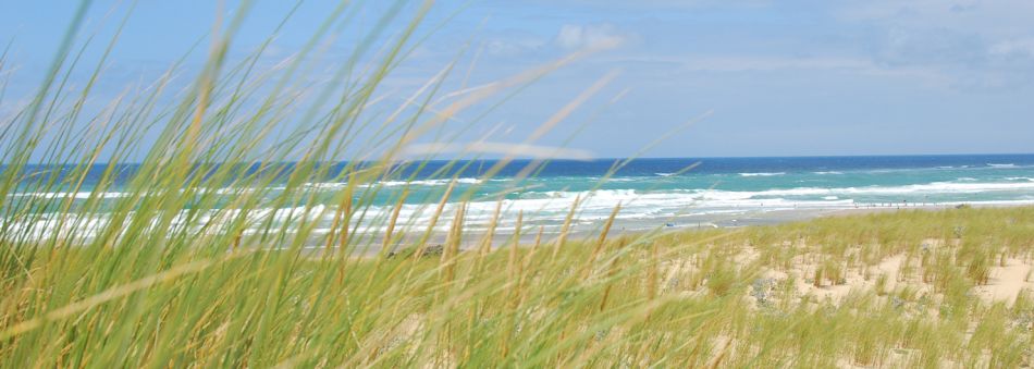 Soustons beach/&copy Nathalie Mennechez/ OT Soustons