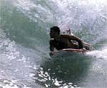 surf et body board à l'auberge de jeunesse de biarritz