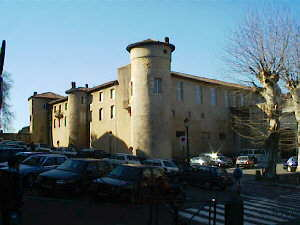 Le Chateau Vieux Bayonne