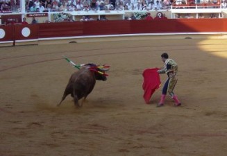 bullfighting in Bayonne