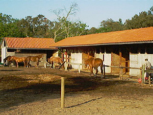 Capbreton Equestrian Center