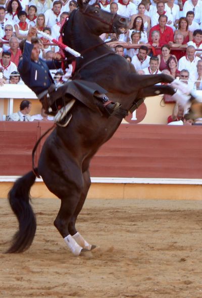 bullfighting dax