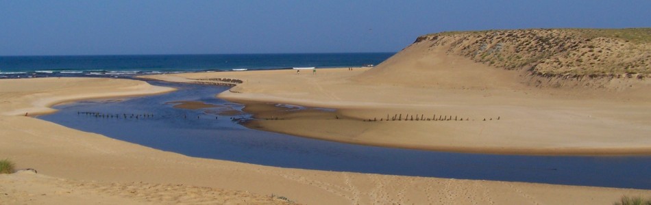 the mouth of Huchet river at Moliets beach
