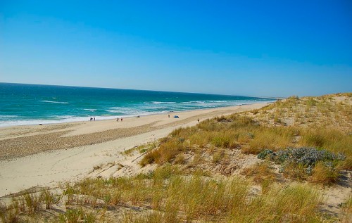 seignosse beach and dune