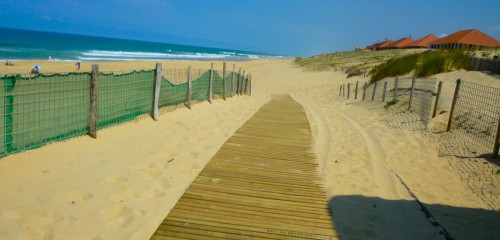 beach and dune